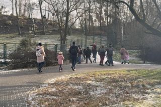 Czy warto jechać do ZOO Wrocław zimą?