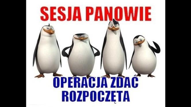 Tak studenci walczą o zaliczenie! Zobacz najlepsze MEMY o sesji!