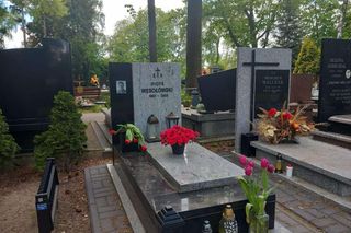 Aleja Zasłużonych Doły