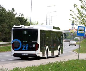 Dodatkowe kursy autobusów nad zalew Lubianka w Starachowicach