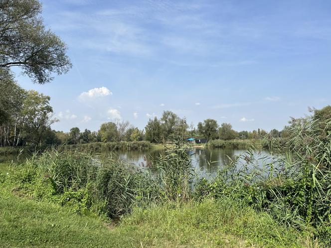 Koniec wakacji, ale nie sezonu kąpielowego. Weekend nad wodą w Przylasku Rusieckim