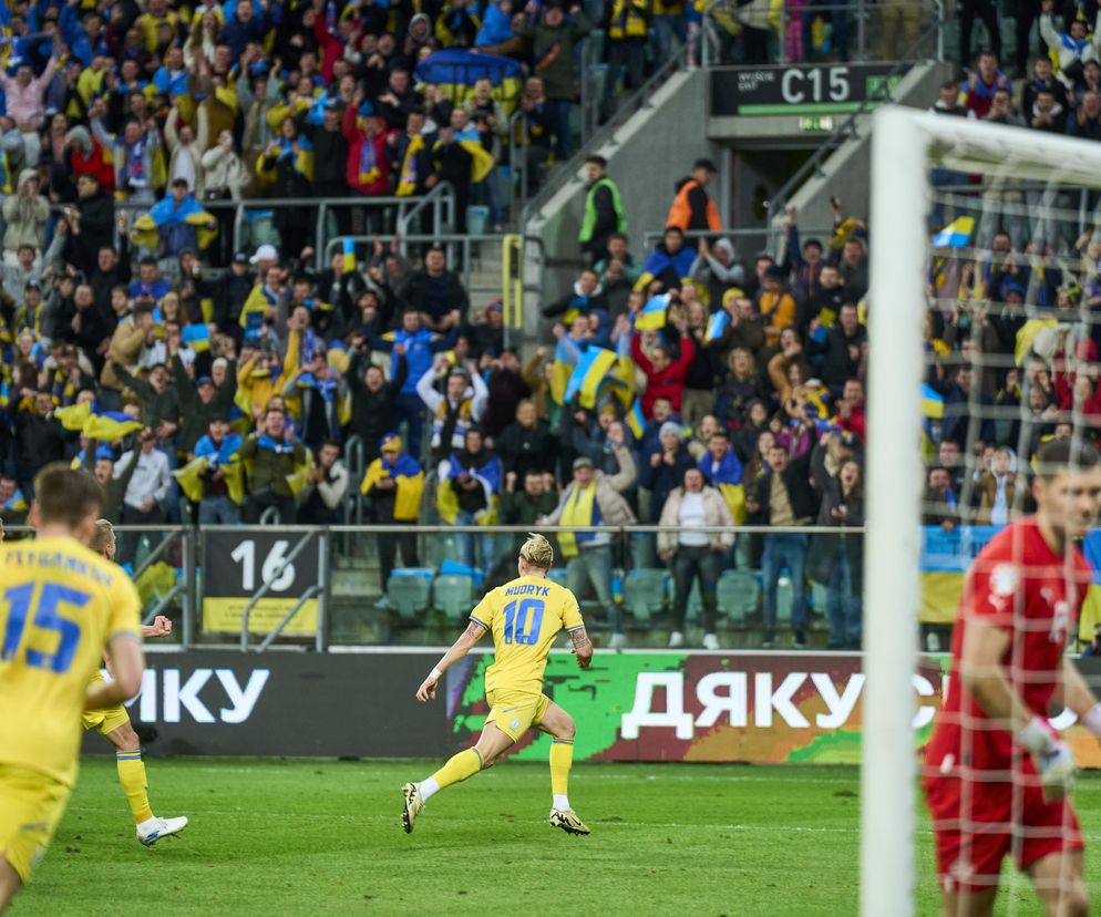 Ukraina - Francja. Jak dojechać na mecz?