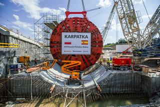 Karpatka w pełnej krasie. Niedługo wgryzie się w glebę