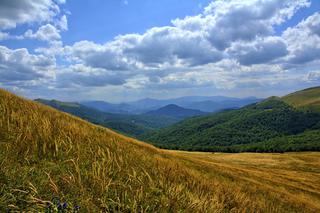 Bieszczady, Tarnica, 