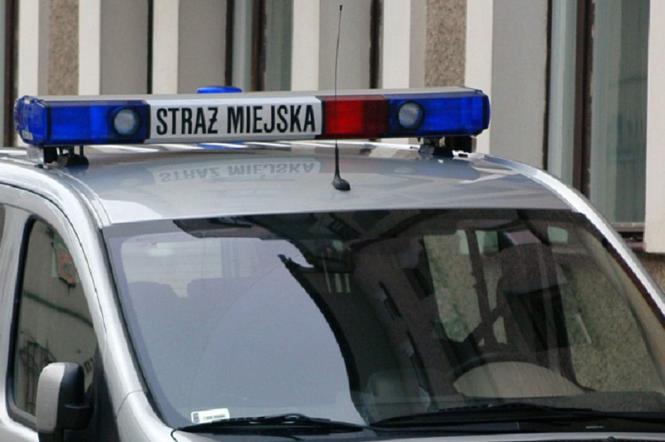 Straż miejska kosztuje każdego mieszkańca Gdańska 40 zł rocznie