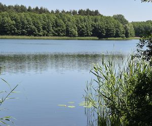 To jedno z największych jezior w Olsztynie. Kusi turystów piaszczystymi plażami