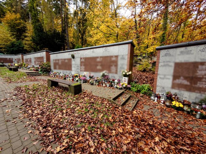 Grób synów Lecha Wałęsy, Przemysława i Sławomira