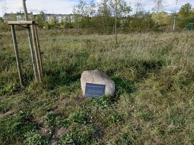 Gaj Matek i Ojców w Gdańsku zaniedbany. Miał być symboliczny park, są uschnięte drzewa i wysoka trawa