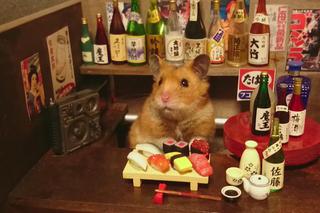 Śmieszny chomik to hit internetu!