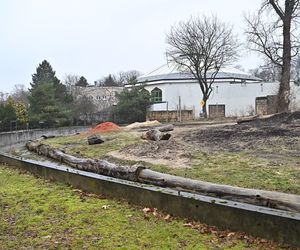 Warszawskie zoo