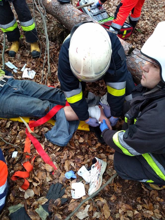 Mężczyzna przygnieciony przez drzewo