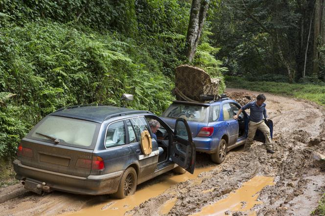 "Top Gear" seria 19