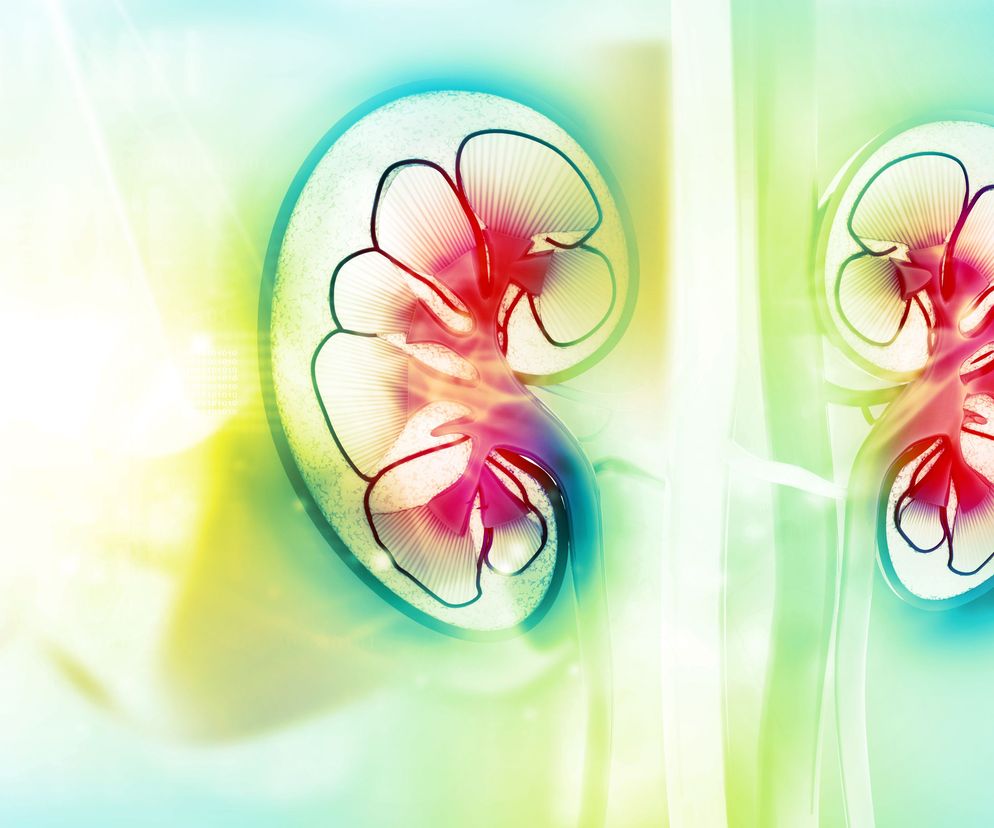 Jakie są objawy kłębuszkowego zapalenia nerek i jak przebiega leczenie?