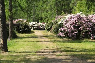 Magiczne miejsce godzinę drogi od Wrocławia. Niewielu turystów tu trafia 