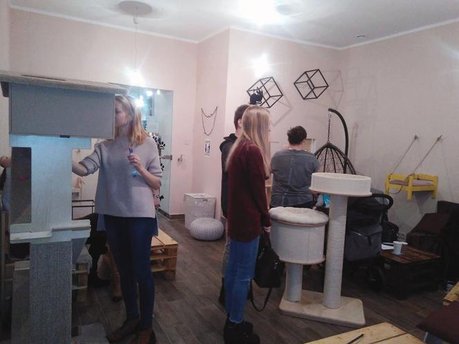 Katowice: Pierwsza na Śląsku Kocia Kawiarnia działa już trzy tygodnie! [ZDJĘCIA]