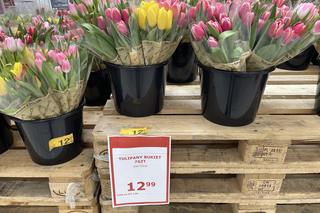 Dzień Kobiet 2023. Ceny kwiatów w Krakowie. Ile trzeba zapłacić za kwiaty w Biedronce, Lidlu, Auchanie?