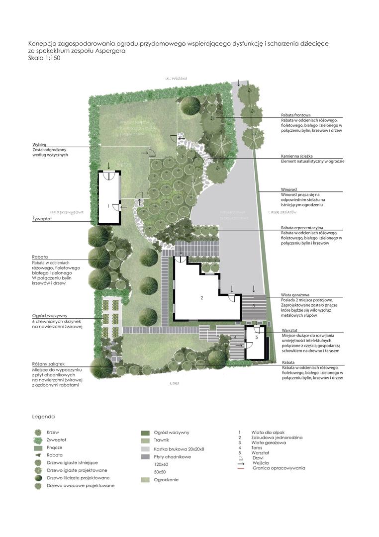 Alpaki i alpakoterapia w ogrodzie przydomowym