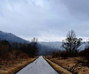 Rezerwat przyrody Sine Wiry 