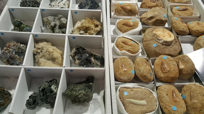 Giełda Minerałów w Sosnowcu