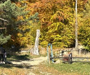 Małopolskie pasmo górskie zachwyca jesiennym pięknem. Ukryta perełka z widokiem na tatry 