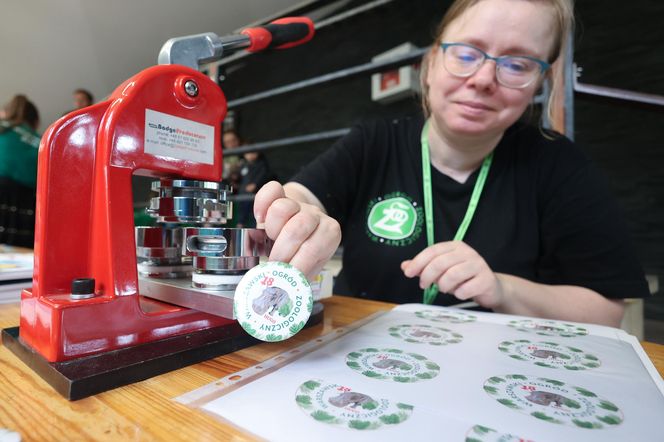 Hugo z ZOO baluje! Hipopotam z Warszawy ma 18 lat i dowód osobisty