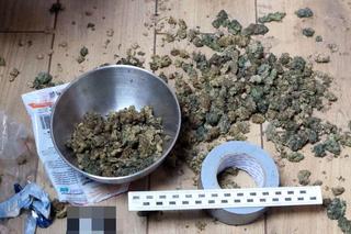 Zabezpieczony ponad kilogram marihuany i zlikwidowana nielegalna uprawa konopi