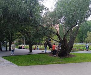 Park centralny w Gdyni. Atrakcje dla dzieci i dorosłych