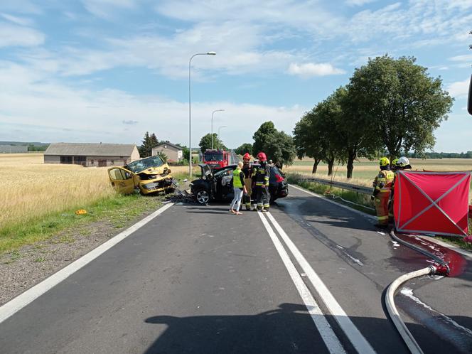 Dziecko zginęło w wypadku pod Turkiem! Dramatyczne szczegóły