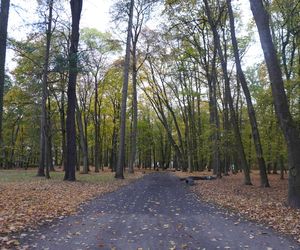 Park Lubomirskich w Białymstoku jesienią 