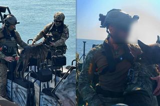 Benji z lubelskiej policji ma „pełne łapy roboty”