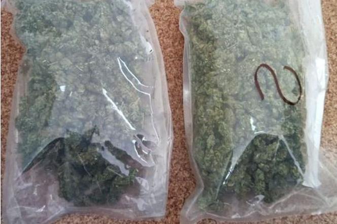 Tarnowscy policjanci przechwycili 1 kilogram marihuany