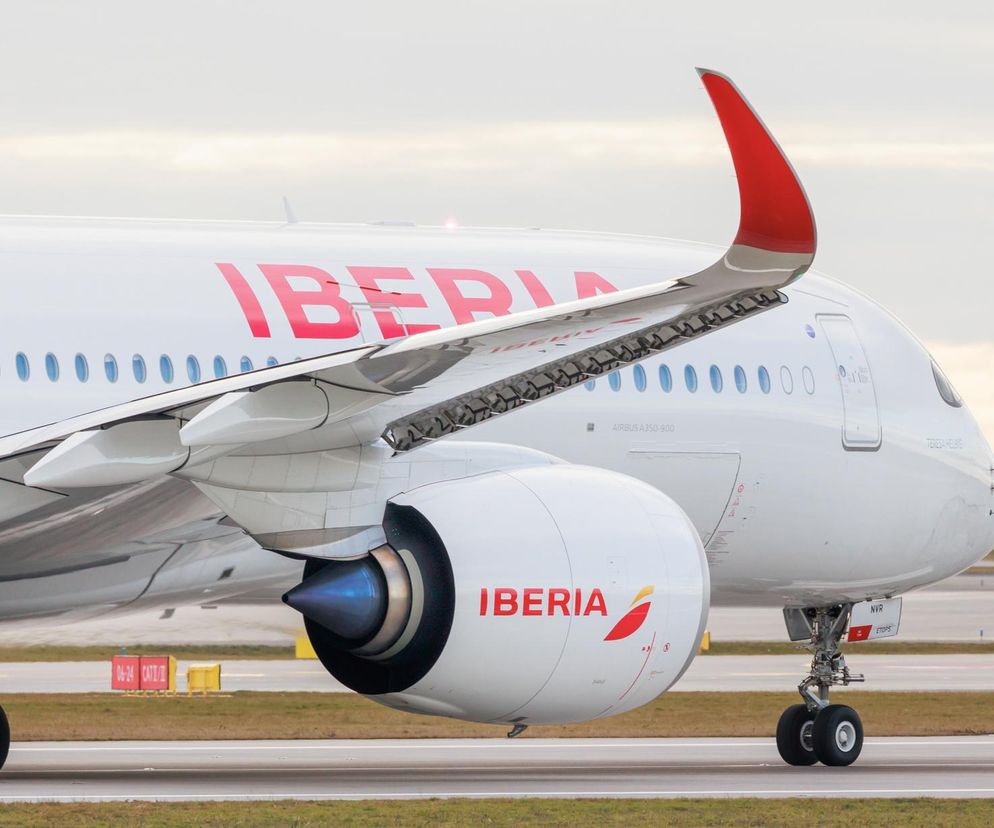 Pasażerowie przeżyli chwile grozy! Samolot musiał awaryjnie lądować po zderzeniu z ptakiem