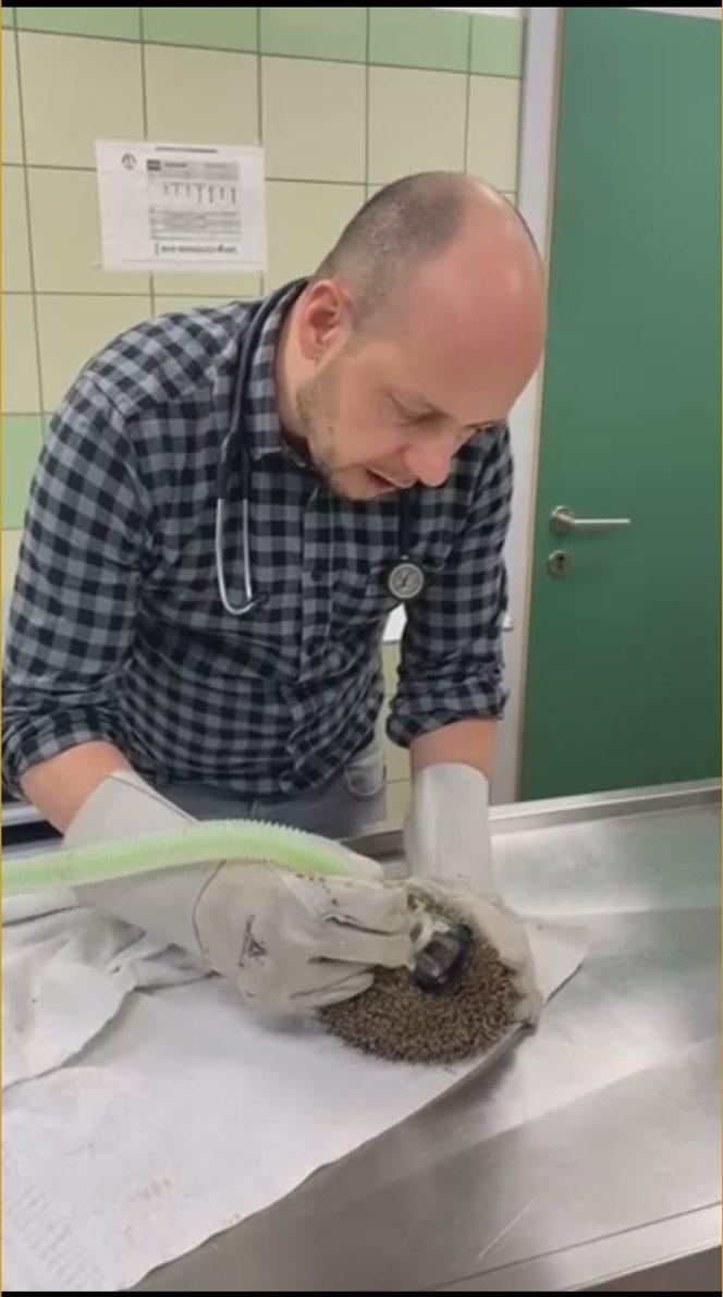 Wściekł się, bo wybudzili go ze snu