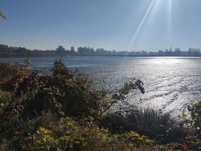 Zaginięcie Karoliny Wróbel. Wypompowano wodę ze zbiornika, a służby przeczesują dno