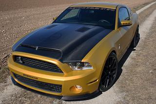 Ford Mustang Golden Snacke