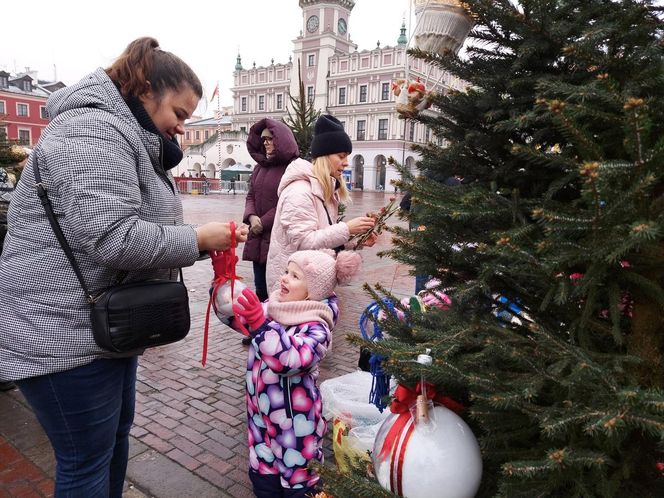  Zamojskie przedszkola i szkoły dekorowały choinki