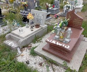 Groby do likwidacji na cmentarzu w Sosnowcu