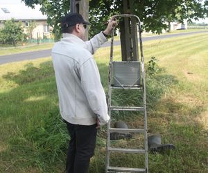 Ratował boćka na słupie, spadł z drabiny