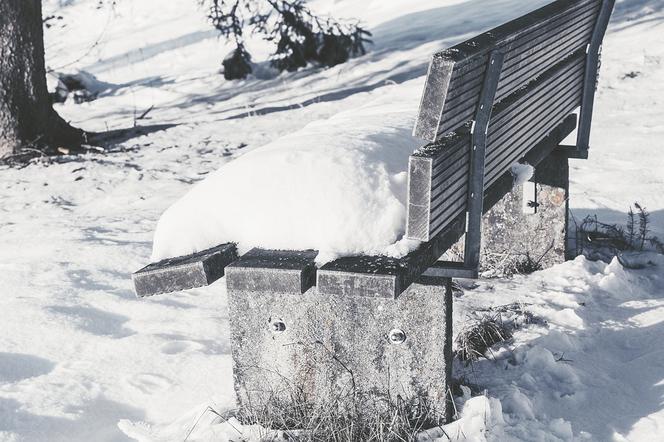 Pierwszy śnieg w Warszawie