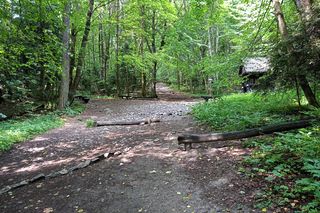 Nowa Słupia, Puszcza Jodłowa i Święty Krzyż