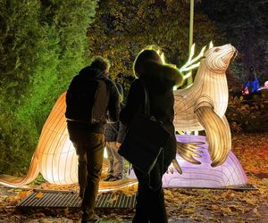 Garden of Lights we Wrocławiu