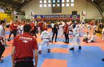 Będzin: Trwają Mistrzostwa Polski Taekwon-do PZT ITF