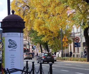 Nowa pora roku już jest w mieście. Lublin przybrał już jesienne barwy. Zobaczcie!