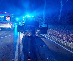 Przerażające zdjęcia z miejsca wypadku w pow. opolskim. Auto całkowicie zniszczyło przystanek