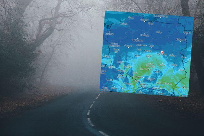Gęste mgły ograniczają widoczność na drogach. IMGW wydaje ostrzeżenia!