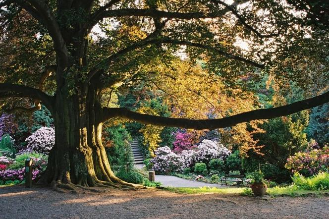 Arboretum Wojsławice pod Wrocławiem