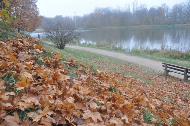 Dolina Silnicy i Zalew Kielecki jesienią