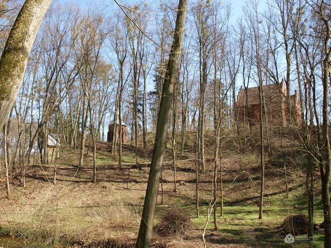 Malutką wieś nazywają "Warmińską Jerozolimą". Przyciąga prawdziwe tłumy