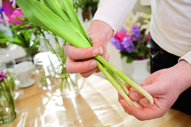 Jak ułożyć bukiet z tulipanów? Instrukcja krok po kroku, zdjęcia 