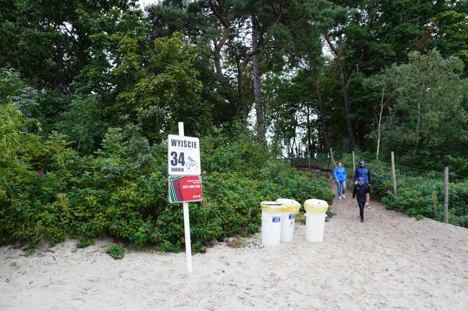 Jedyne takie miejsce na plażowej mapie Gdańska. Właściciele psów powinni o nim wiedzieć!